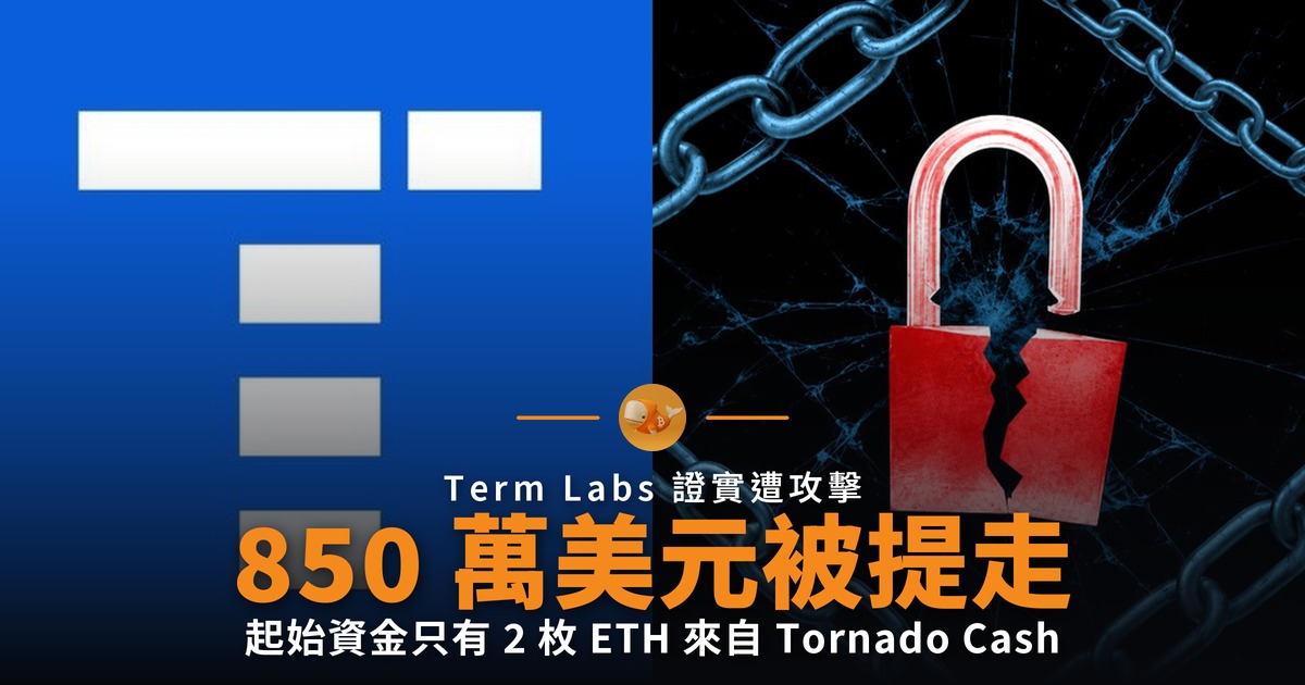 Term Labs 治理漏洞被攻擊 850 萬美元遭提走