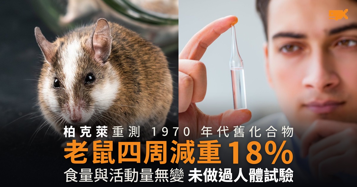 減肥新藥 TOFA 老鼠四周減重 18% 食量不變