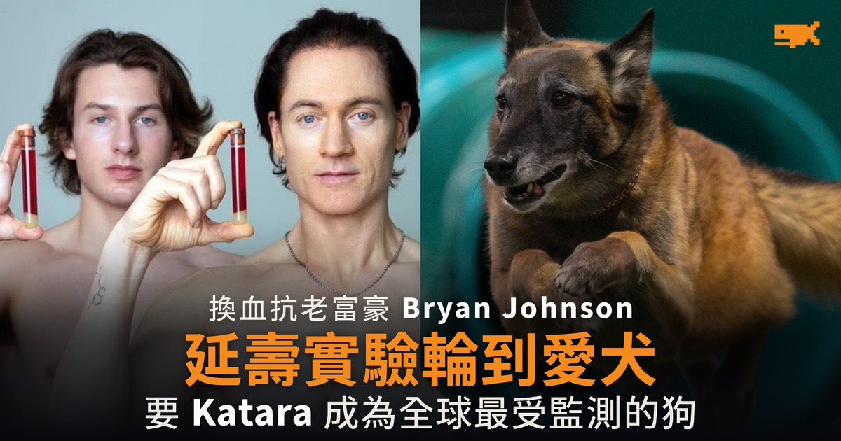換血抗老富豪 Bryan Johnson 延壽實驗輪到愛犬