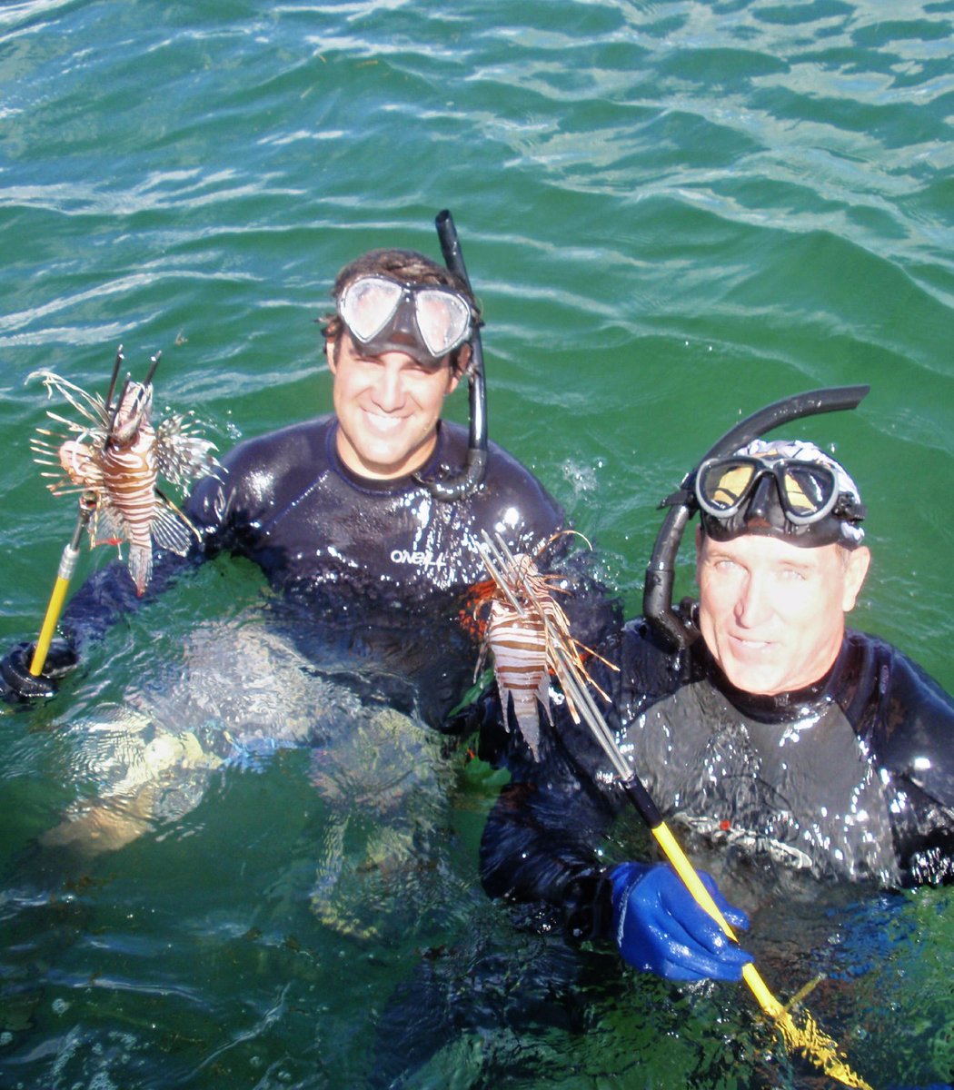 潛水員以魚槍捕捉獅子魚