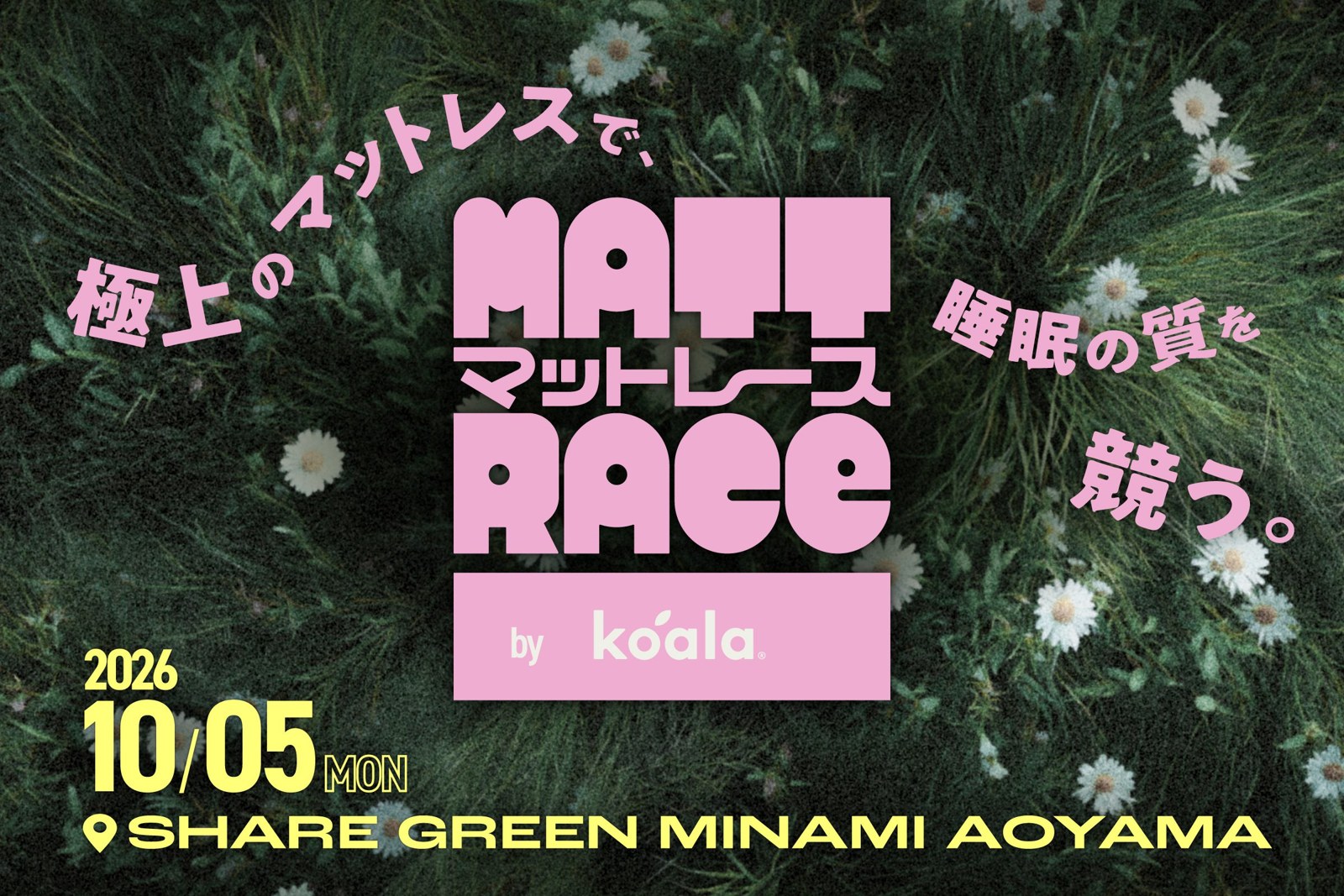 Koala 公布的 MATT RACE 宣傳圖