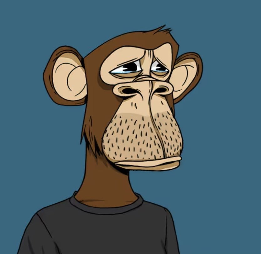 Bored Ape #3001：啡色毛、黑色 T 恤、眼泛淚光的猿猴頭像