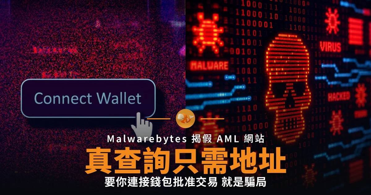假 AML 查詢網站騙錢包 真查詢只需公開地址
