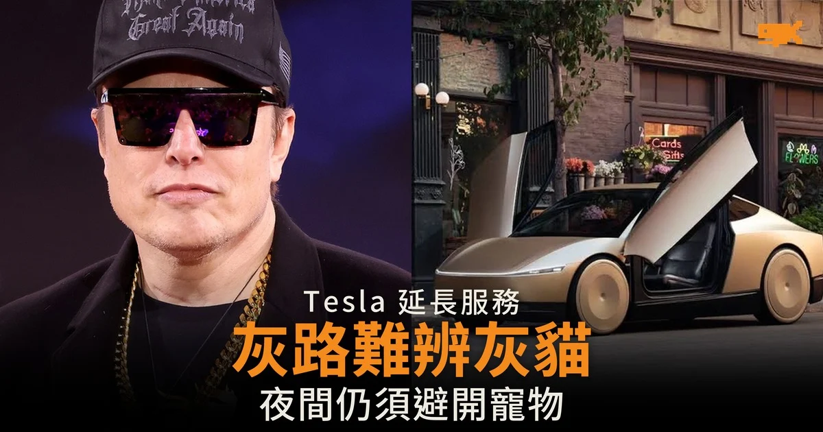 Tesla 延長夜間服務 仍須辨認灰色小貓