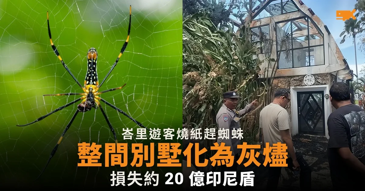 尼泊爾遊客燒紙趕蜘蛛 峇里別墅化為灰燼